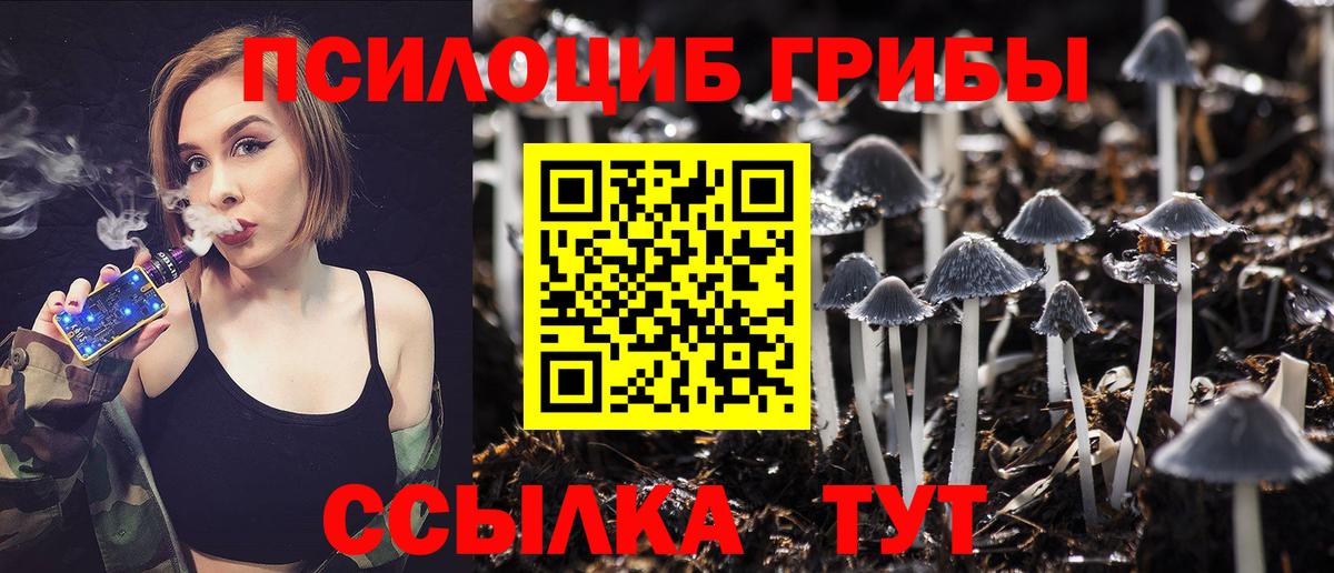 Псилоцибиновые грибы ЛСД Пенза