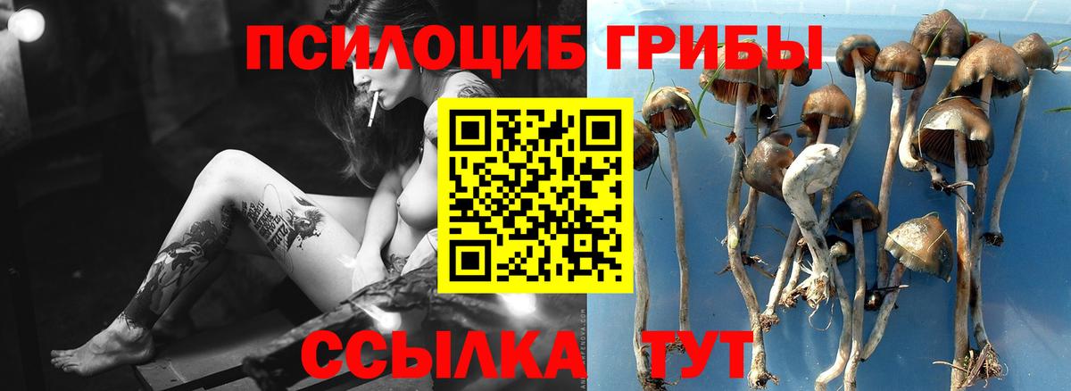 Пенза  Галлюциногенные грибы мухоморы  Вход с VPN 